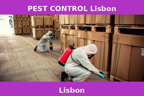 PEST CONTROL Lisbon